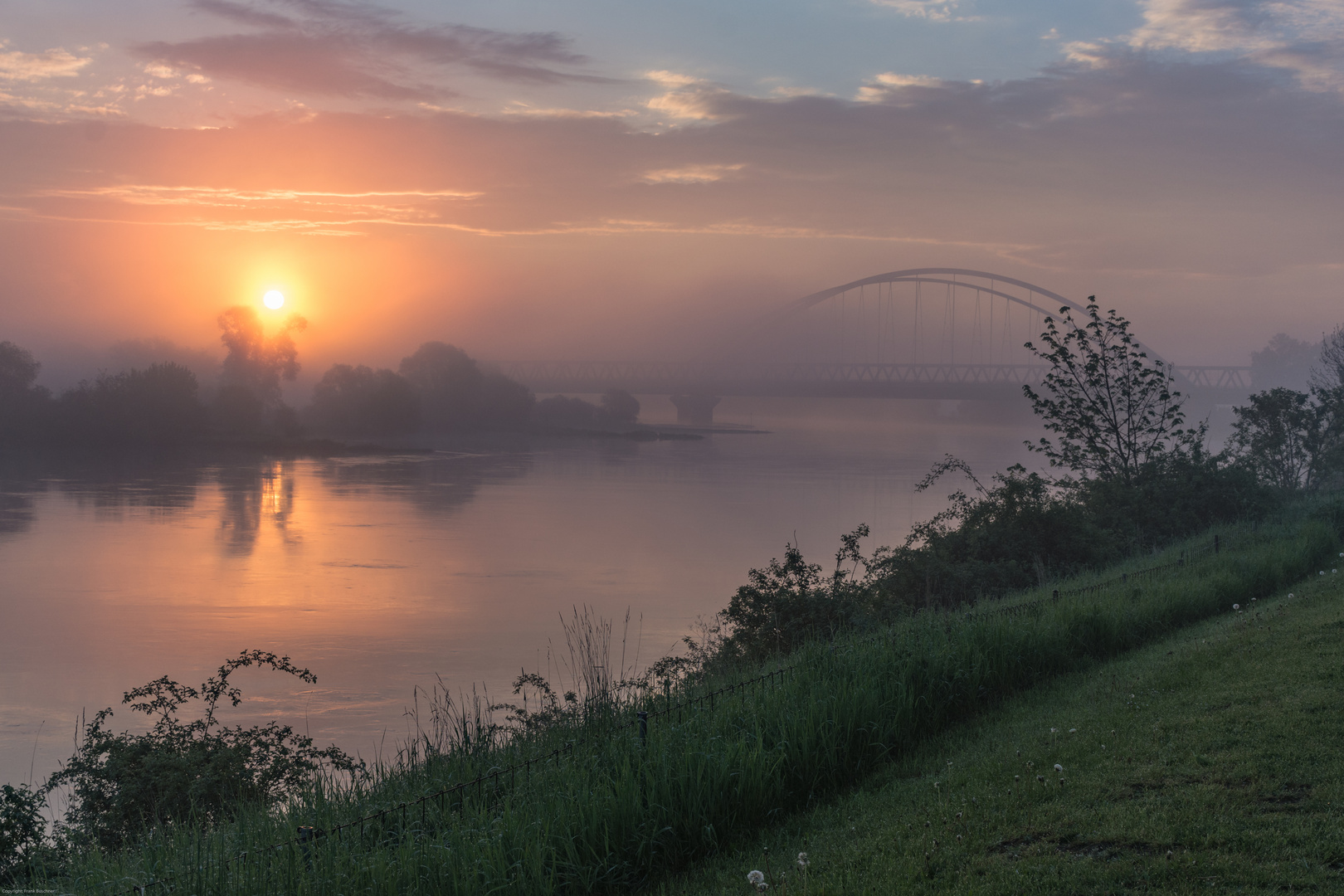 Morgennebel an der Elbe