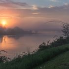 Morgennebel an der Elbe