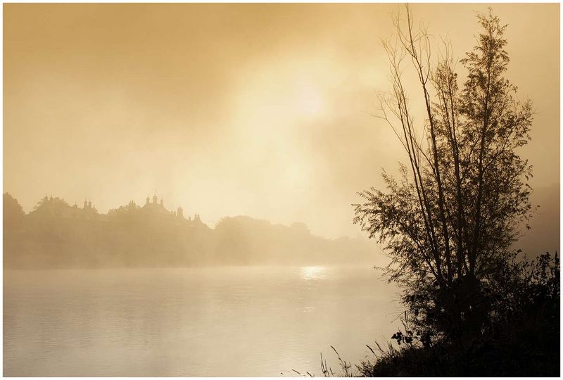 Morgennebel an der Elbe