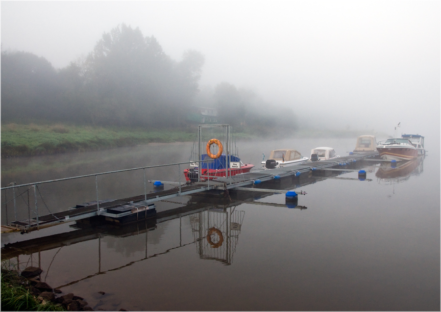 Morgennebel an der Elbe