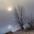 Morgennebel an der Elbe, Dresden