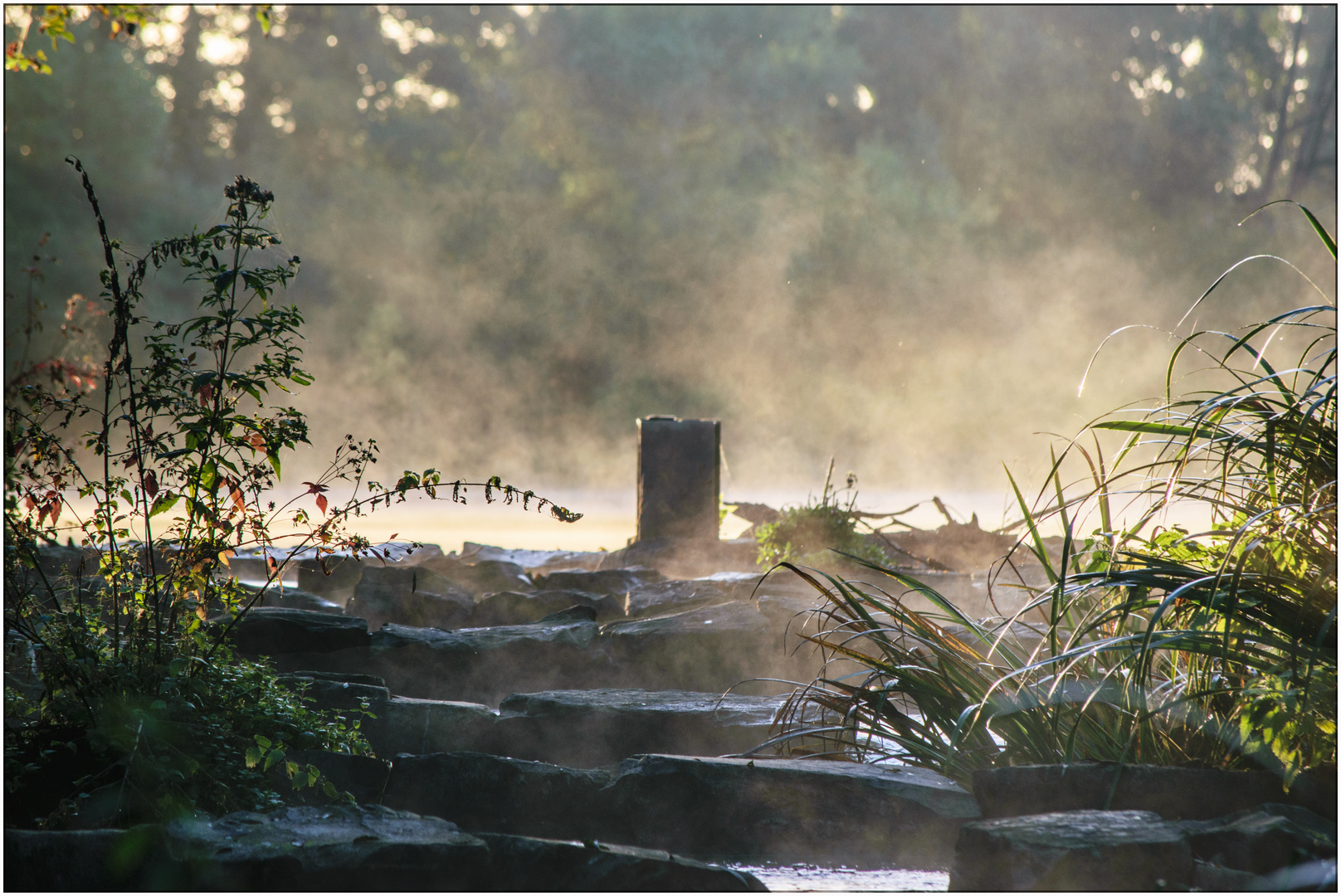 Morgennebel an der Fischtreppe