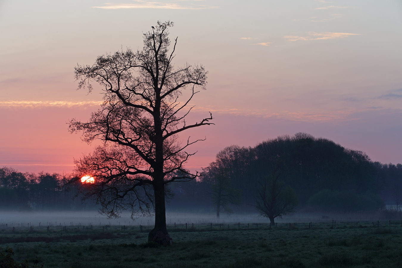 Morgennebel an der Kovermühle, Nettetal