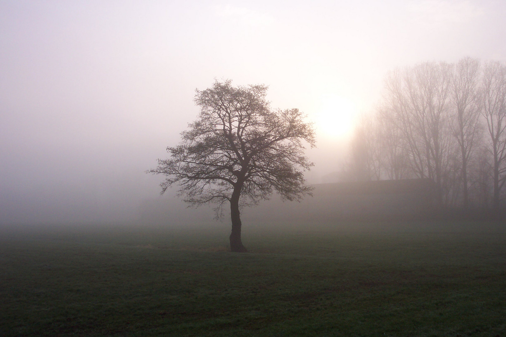 Morgennebel an der Lesum