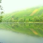 Morgennebel an der Mosel