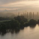 Morgennebel an der Mosel