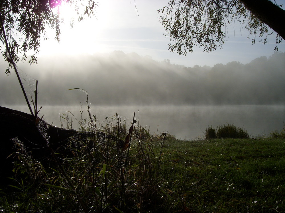 Morgennebel an der Oder