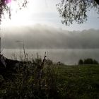 Morgennebel an der Oder