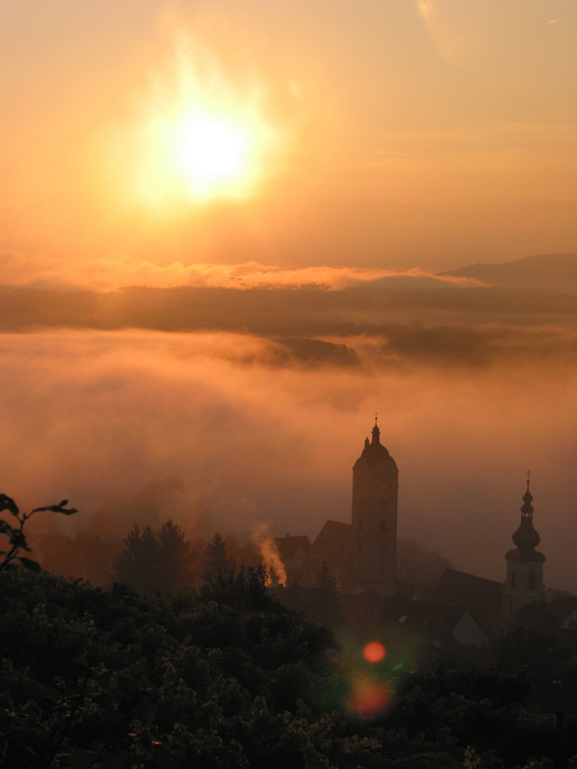 Morgennebel an der österreichischen Donau.