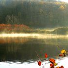 Morgennebel an der Ruhr