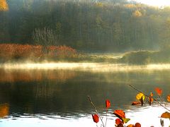 Morgennebel an der Ruhr