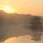 Morgennebel an der Ruhr