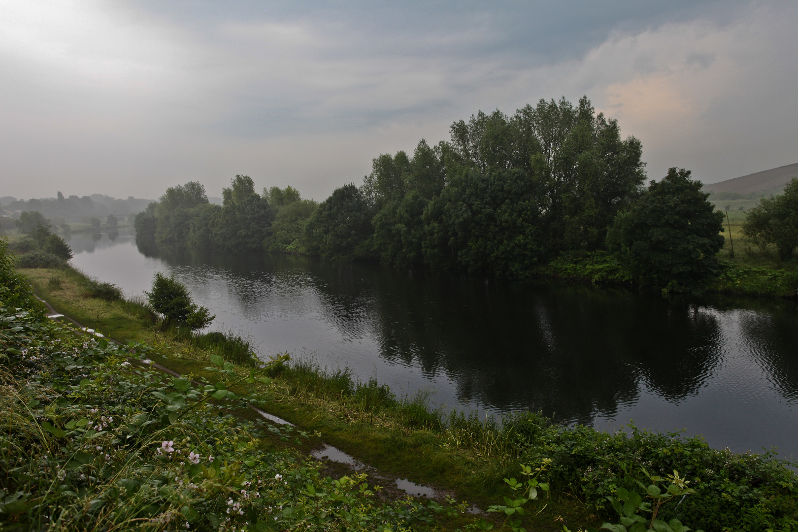 Morgennebel an der Ruhr