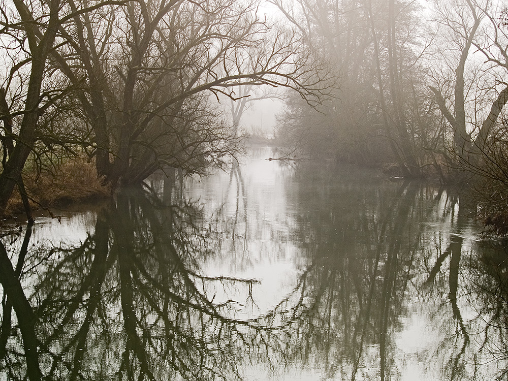 Morgennebel an der Saale (bei Bad Kissingen)