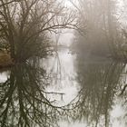 Morgennebel an der Saale (bei Bad Kissingen)