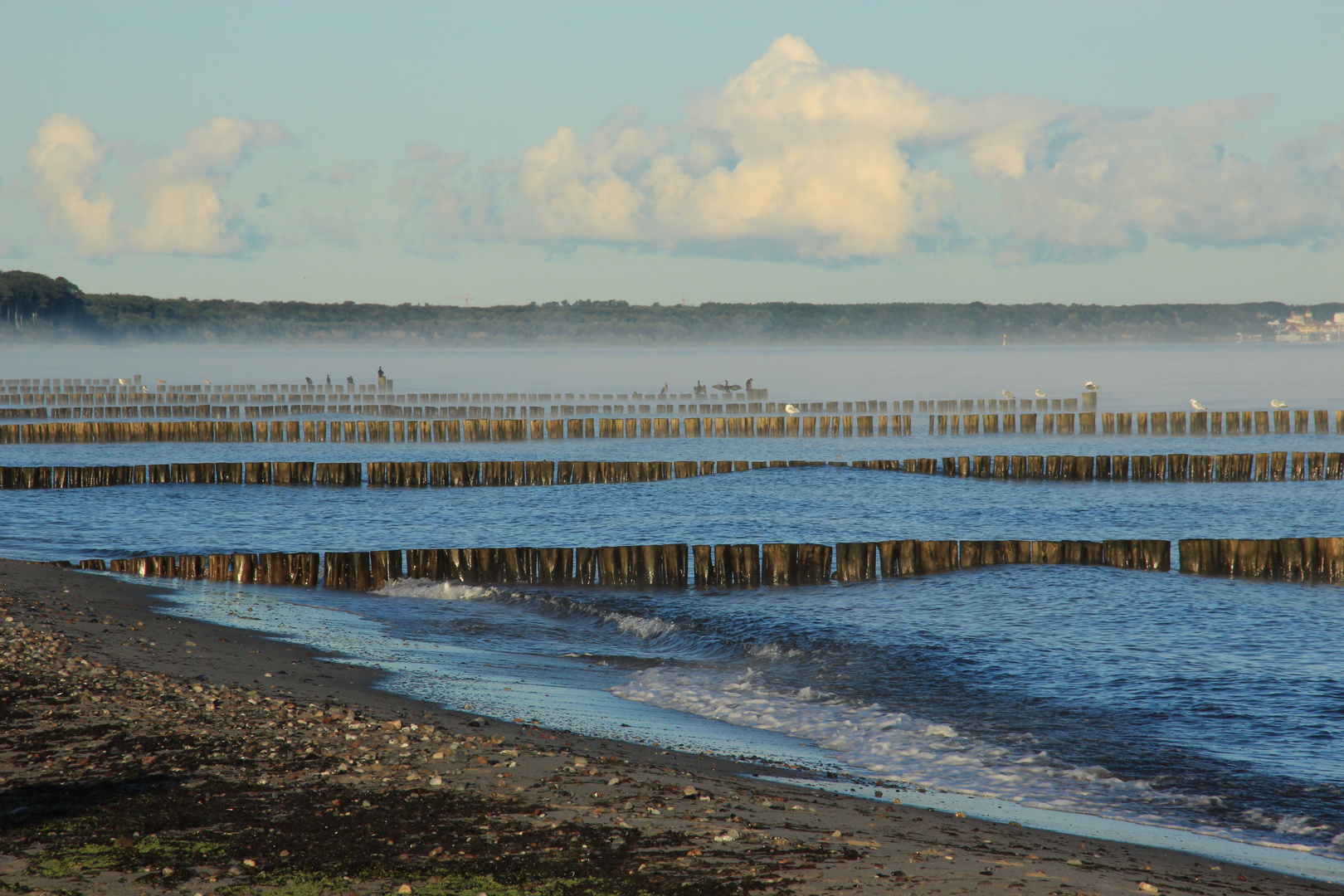 Morgennebel an der See