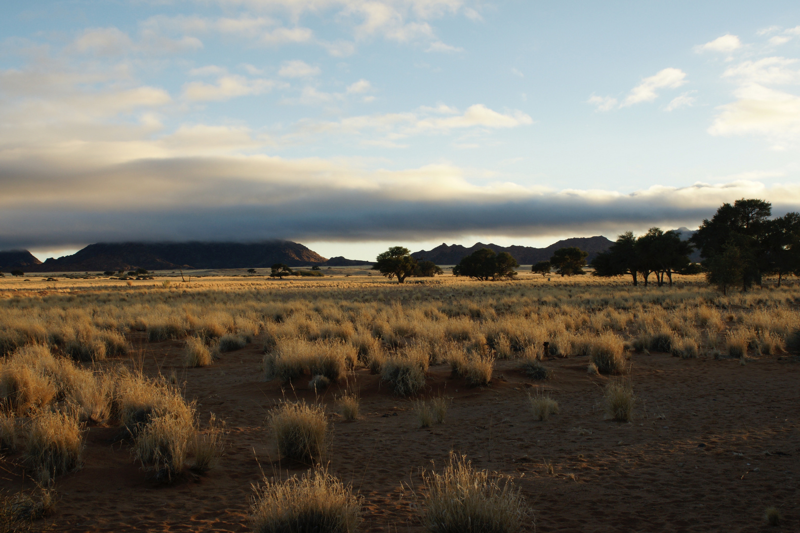 Morgennebel an der  Sossus Dune Lodge