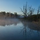 Morgennebel an der Trebel