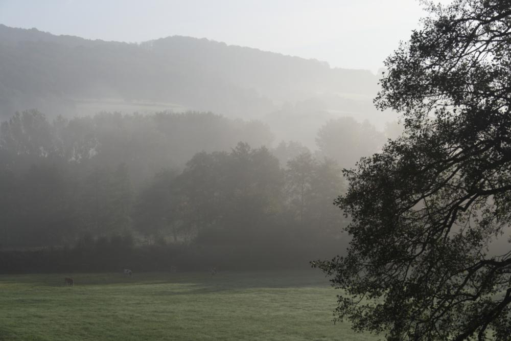 Morgennebel an der Ulster