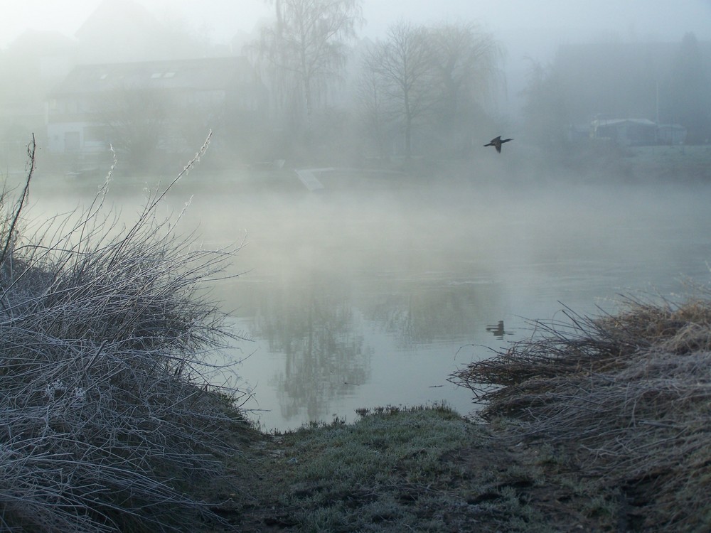 Morgennebel an der Weser