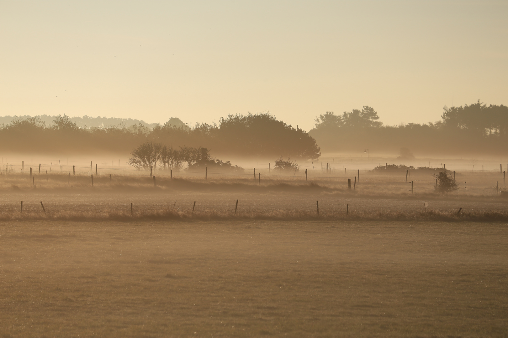 Morgennebel auf Amrum