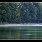 morgennebel auf dem Alpsee