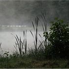 Morgennebel auf dem Angelteich