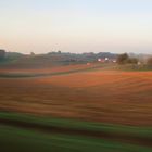 Morgennebel auf dem Feld