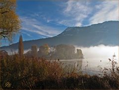 Morgennebel auf dem See