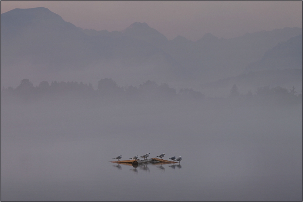 ~ Morgennebel auf dem Staffelsee V ~