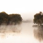 Morgennebel auf dem Templiner Stadtsee