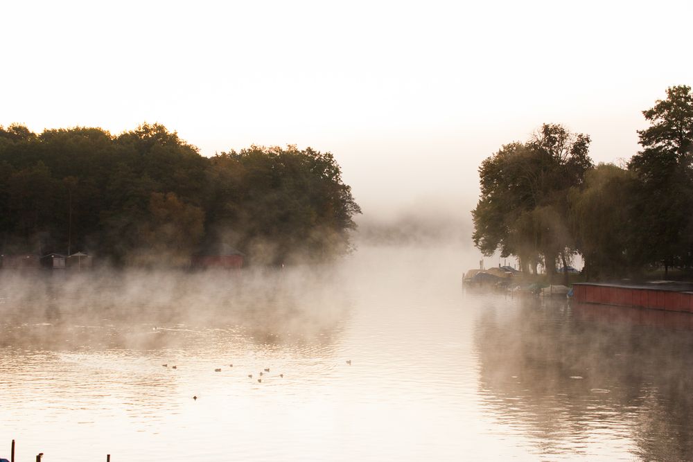 Morgennebel auf dem Templiner Stadtsee