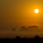 Morgennebel - auf dem Weg zur Arbeit