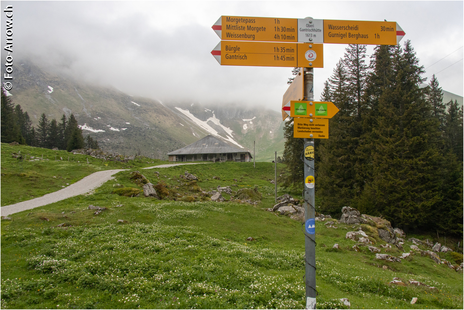 Morgennebel auf der Alp