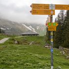 Morgennebel auf der Alp