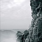 Morgennebel auf der Bastei (neu)