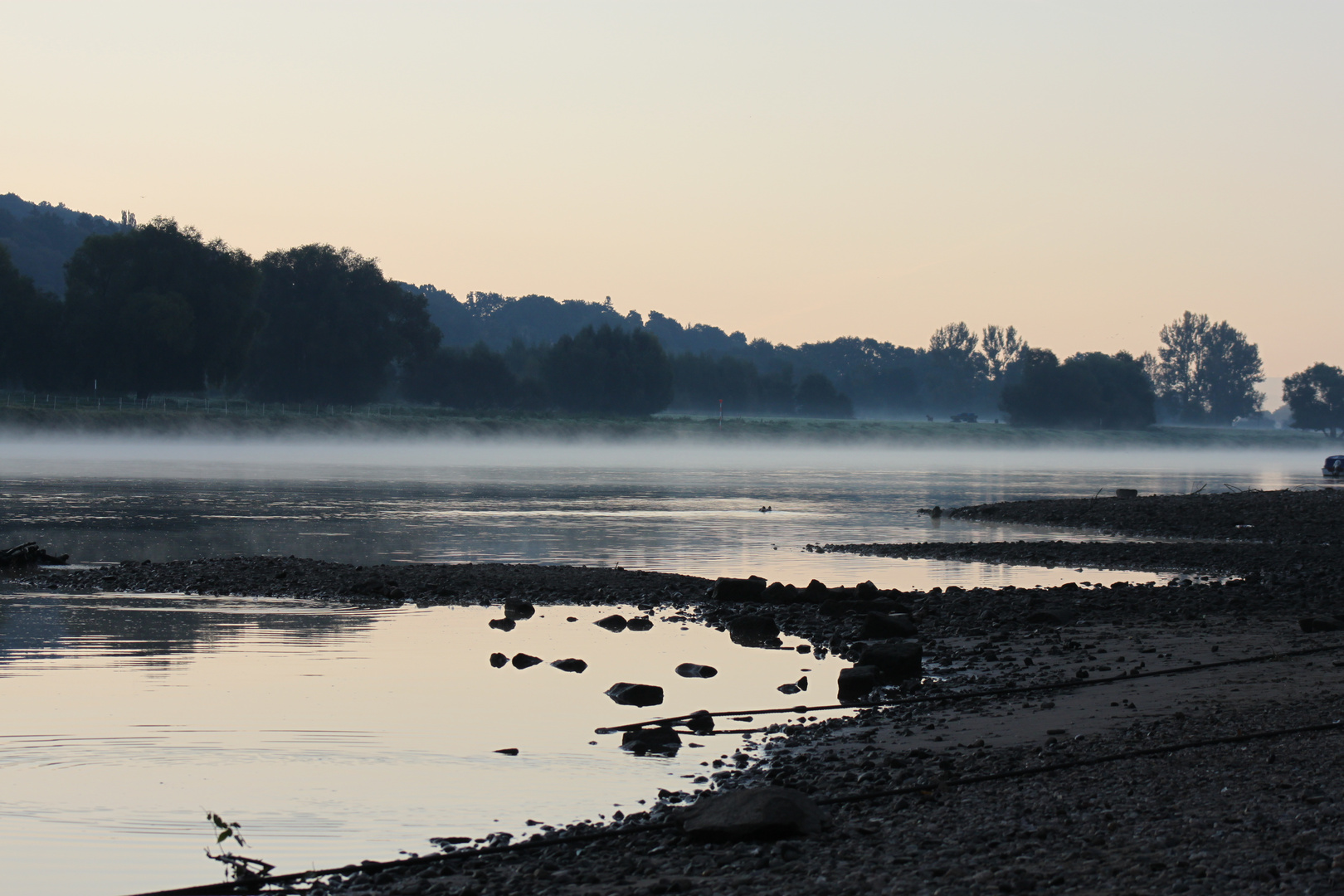 Morgennebel auf der Elbe