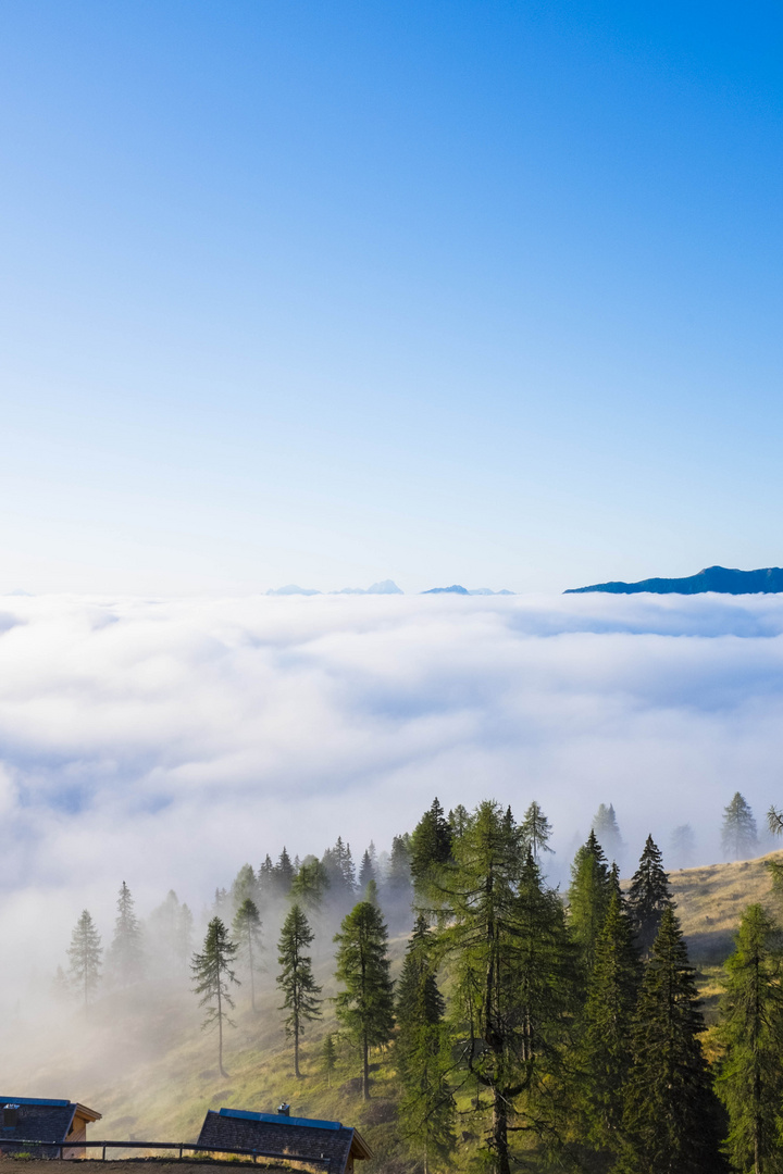 Morgennebel auf der Emberger Alm