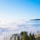 Morgennebel auf der Emberger Alm