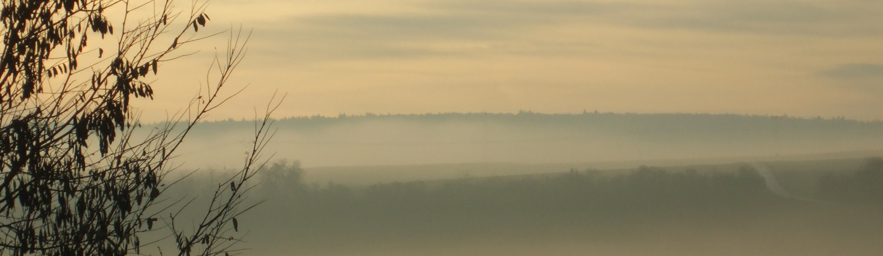 Morgennebel auf der Ostalb