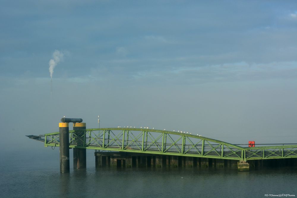 Morgennebel auf der Weser