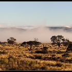 Morgennebel auf Koiimasis