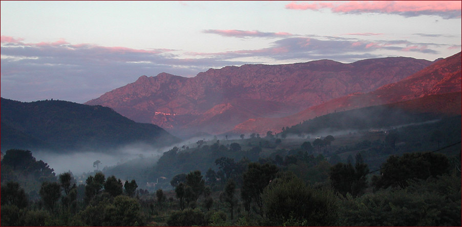 Morgennebel auf Korsika