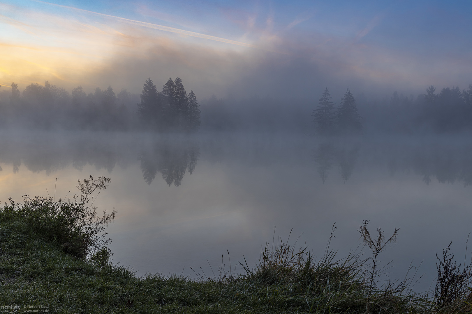 Morgennebel