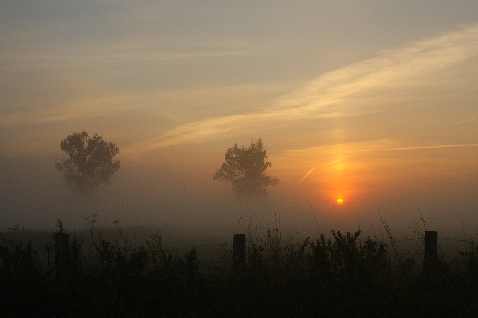 Morgennebel