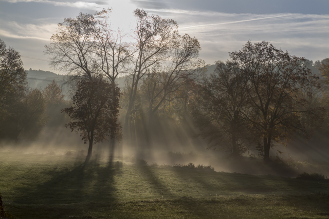 Morgennebel