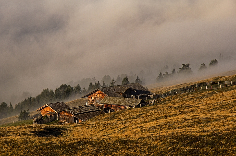 Morgennebel