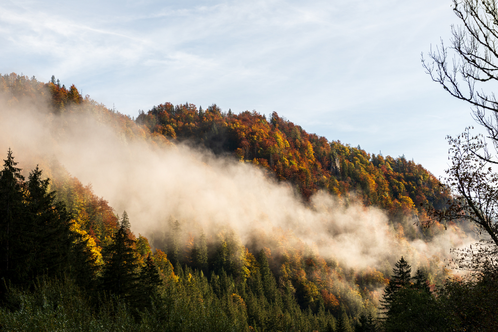 Morgennebel