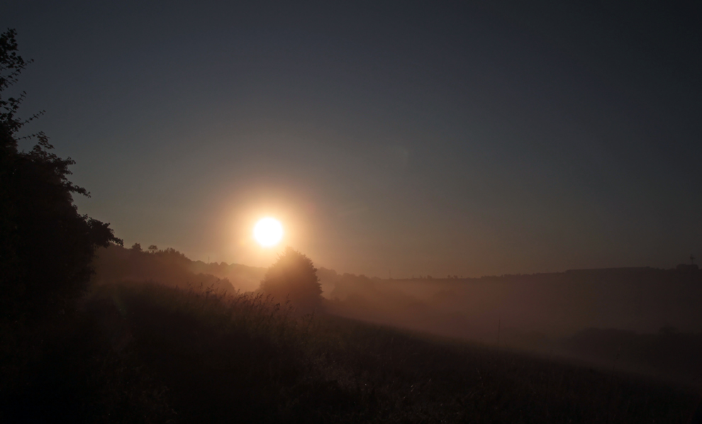 Morgennebel von Rainer Rottländer 