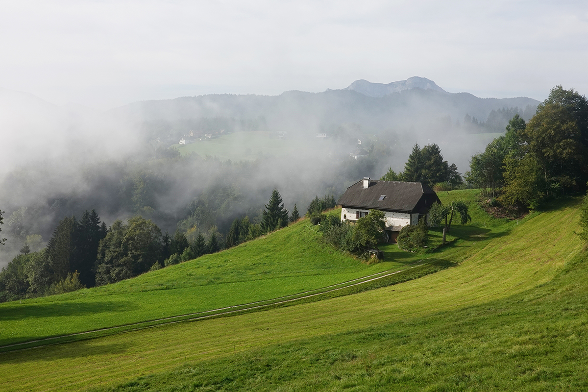 Morgennebel